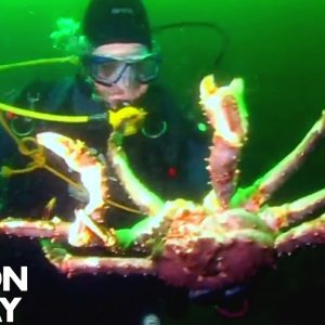 Catching and Cooking King Crab | Gordon Ramsay